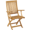 Bildlink zurKlappsessel Teak