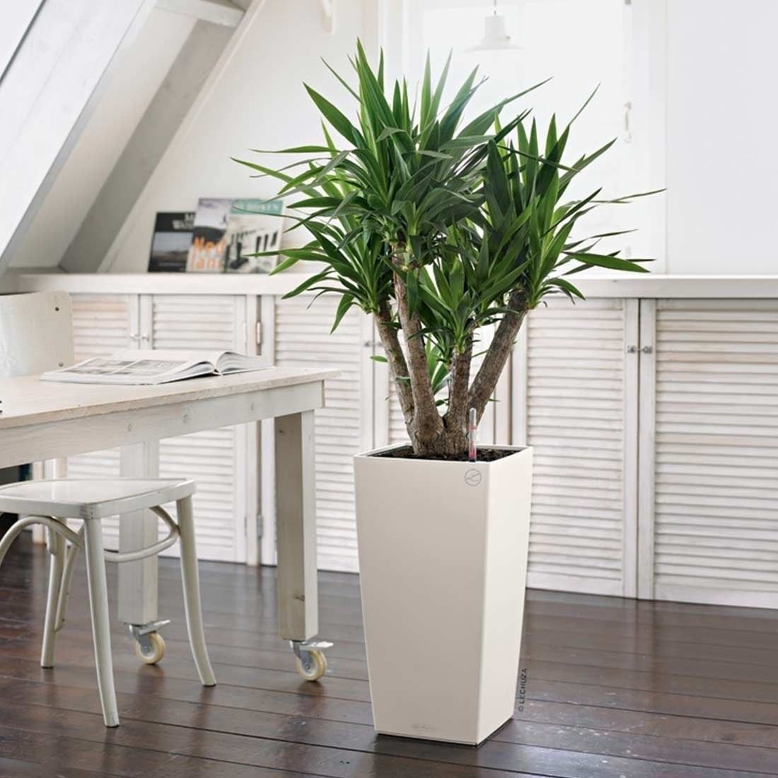 blumenständer für drinnen Pflanzenregal Metall schwarz mit 6/7/8 Ebenen online kaufen