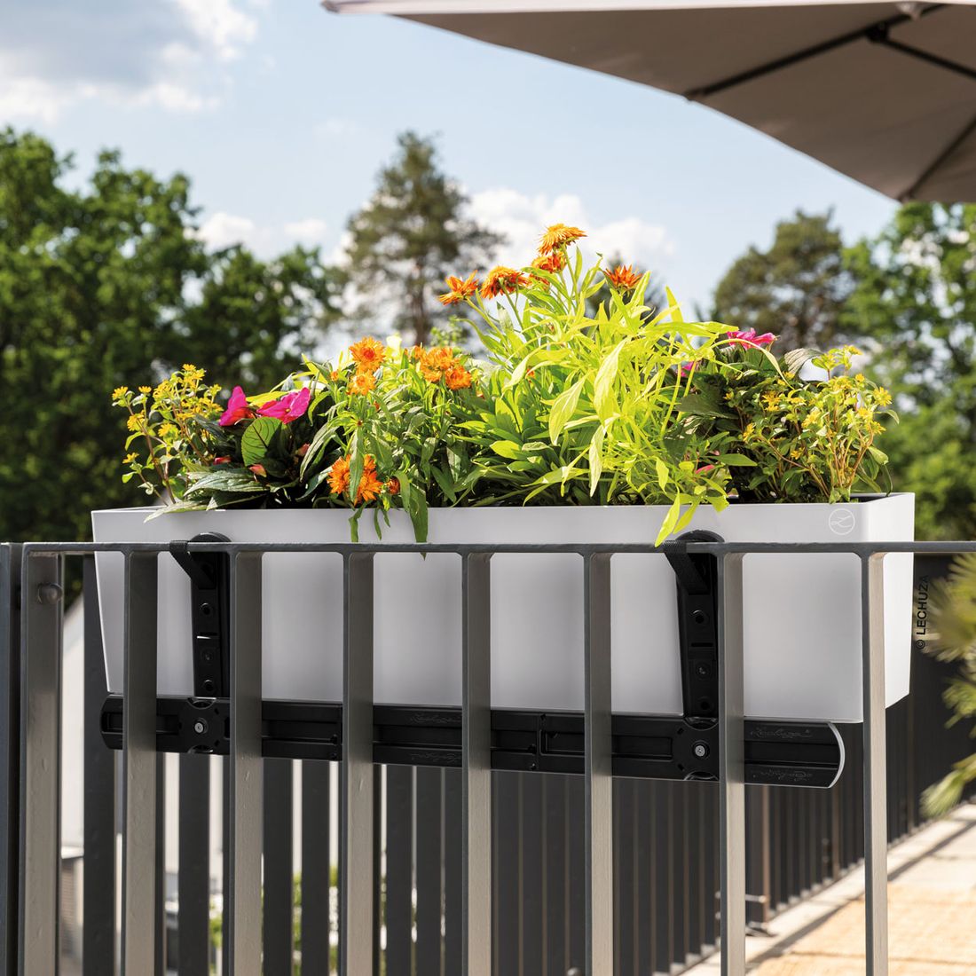 Lechuza Balconera Ergänzung Balkonkastenhalter Kunststoff