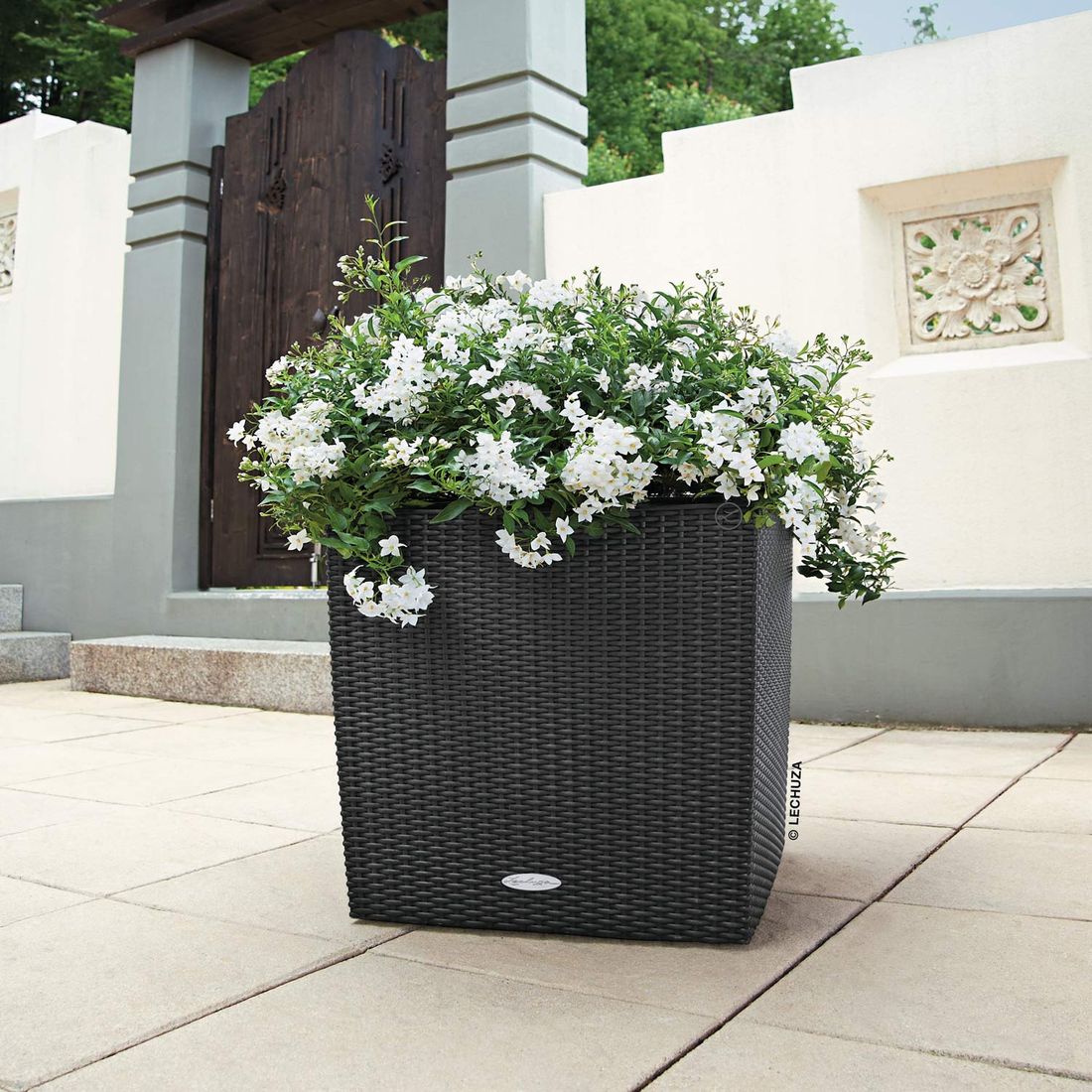 Lechuza Cube Pflanztopf 50x50x50cm Kunststoff