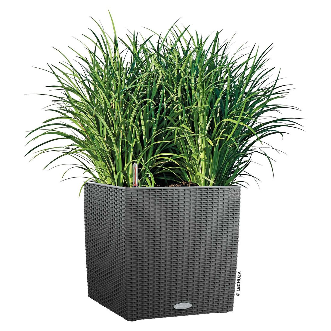Lechuza Cube Pflanztopf 40x40x40cm Kunststoff
