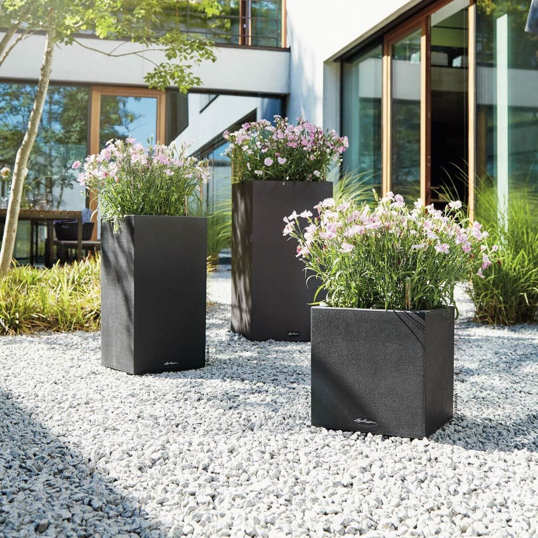 Lechuza Canto Pflanztopf 30x30x56cm Kunststoff