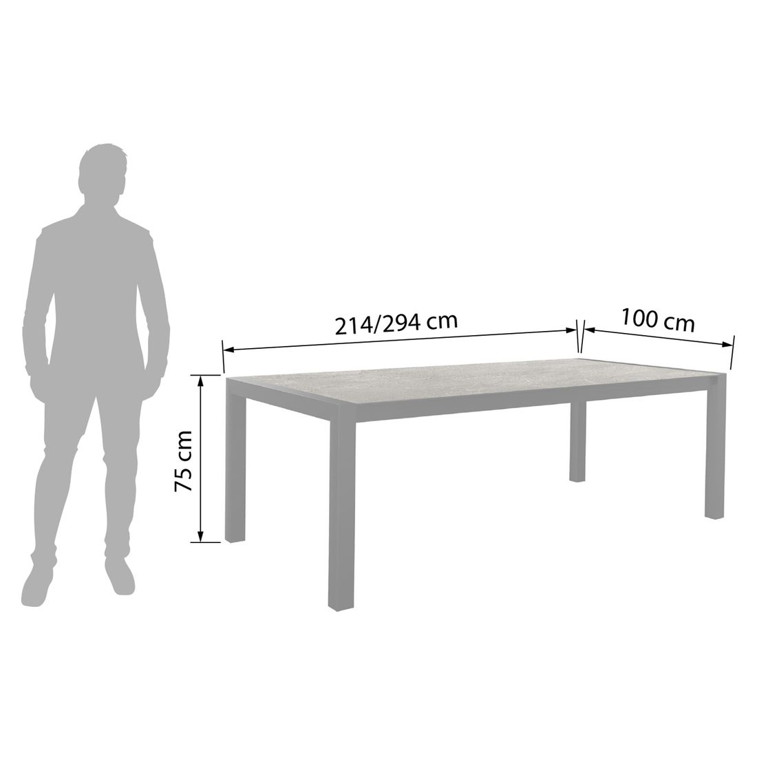 Stern Ausziehtisch 214/254/294x100cm Aluminium/Silverstar
