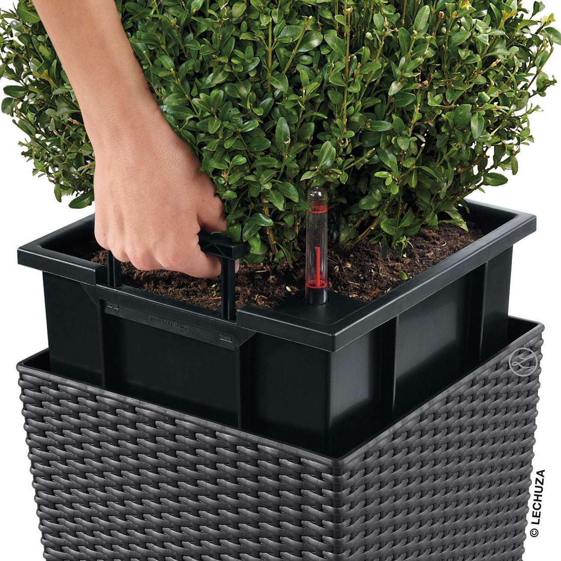 Lechuza Cube Pflanztopf 50x50x50cm Kunststoff