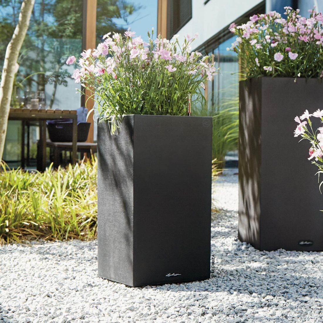 Lechuza Canto Pflanztopf 30x30x56cm Kunststoff