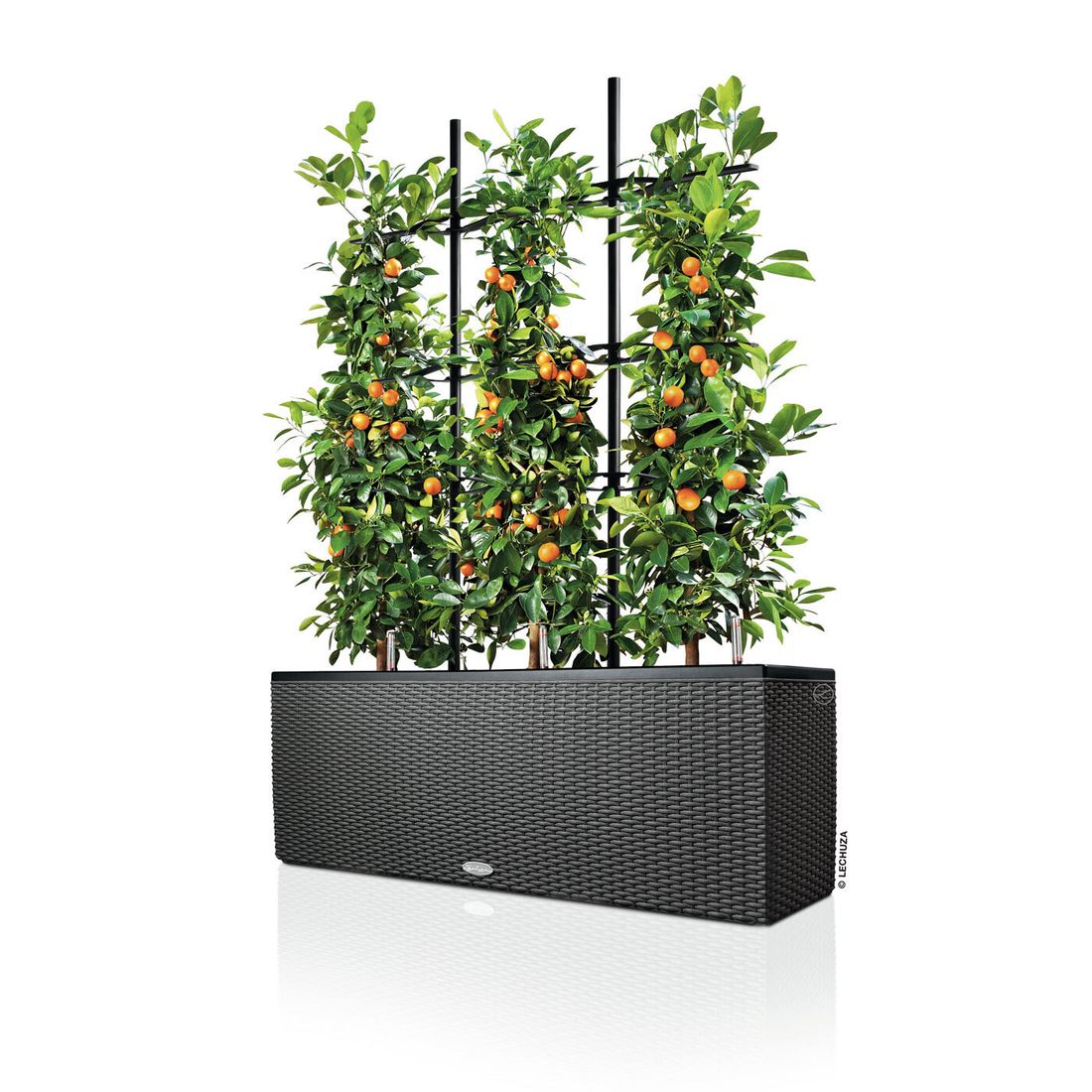 Lechuza Trio Pflanztopf 100x32x34cm Kunststoff