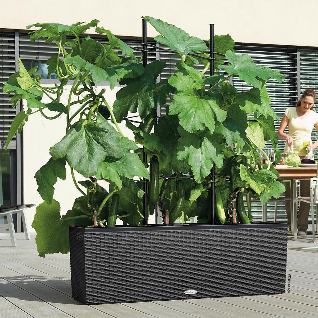 Lechuza Trio Pflanztopf 100x32x34cm Kunststoff
