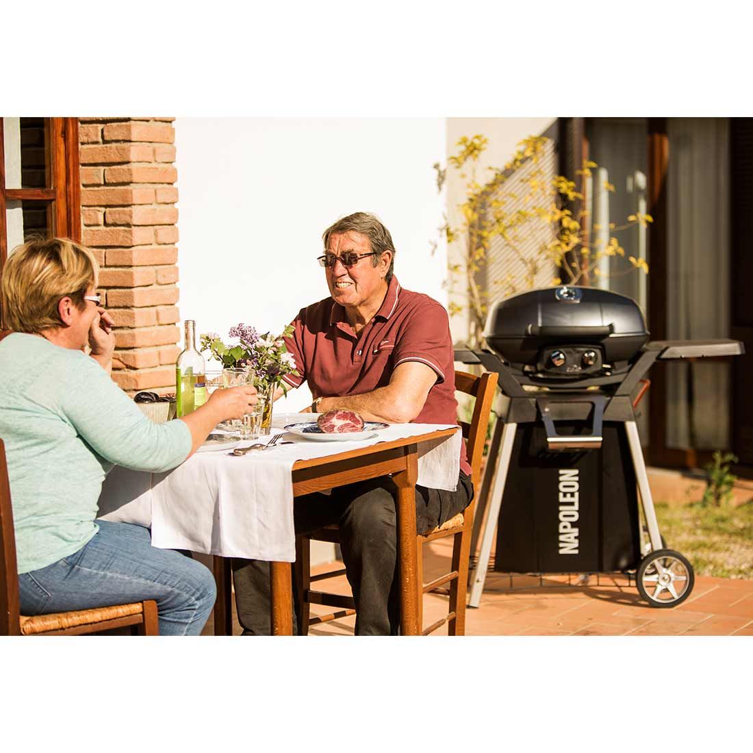 Napoleon Travel Q Pro 285 Gasgrill