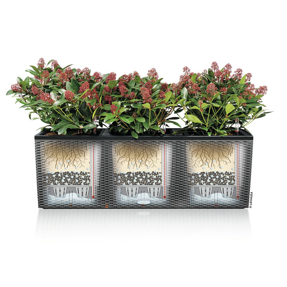 Lechuza Trio Pflanztopf 100x32x34cm Kunststoff