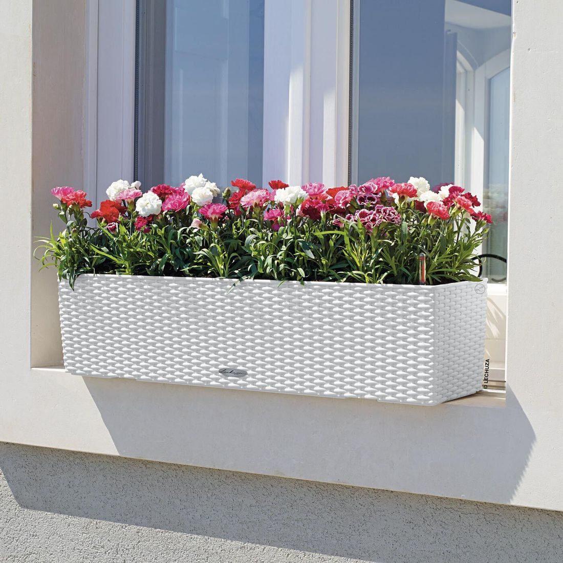 Lechuza Balconera 80 Pflanzgefäß Komplettset