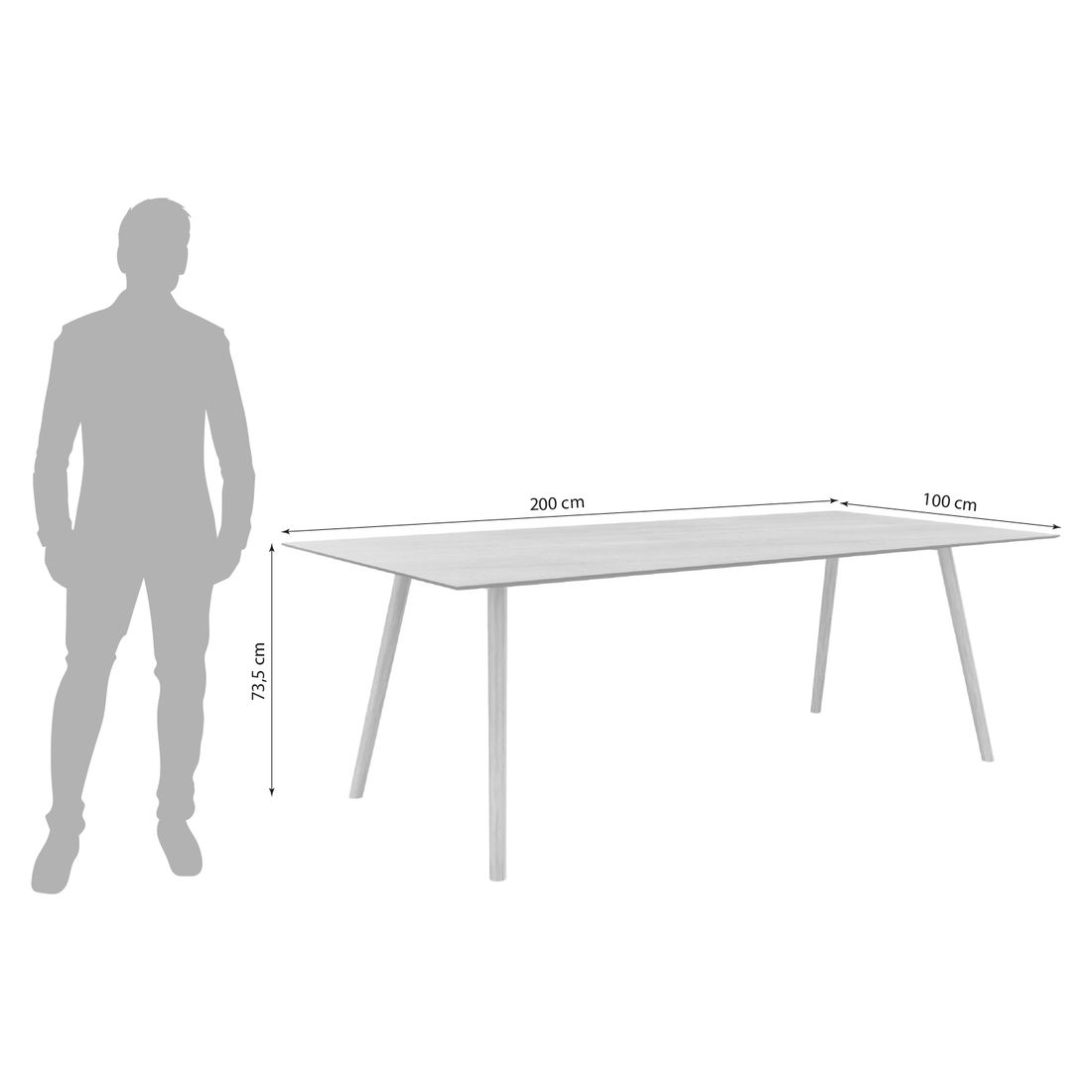 Stern Interno Gartentisch 220x100cm Teak/Silverstar 2.0