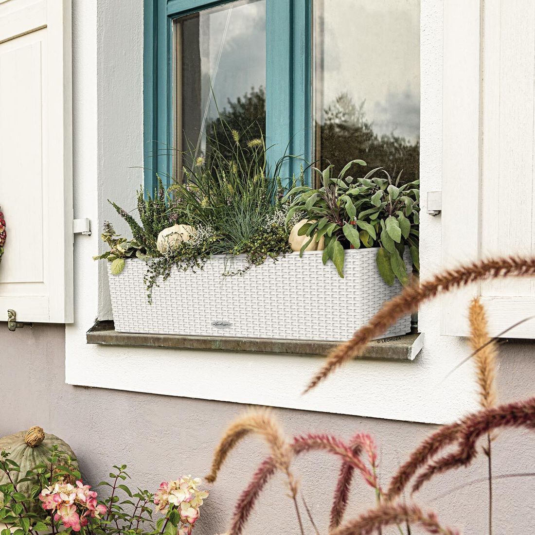 Lechuza Balconera 80 Pflanzgefäß Komplettset