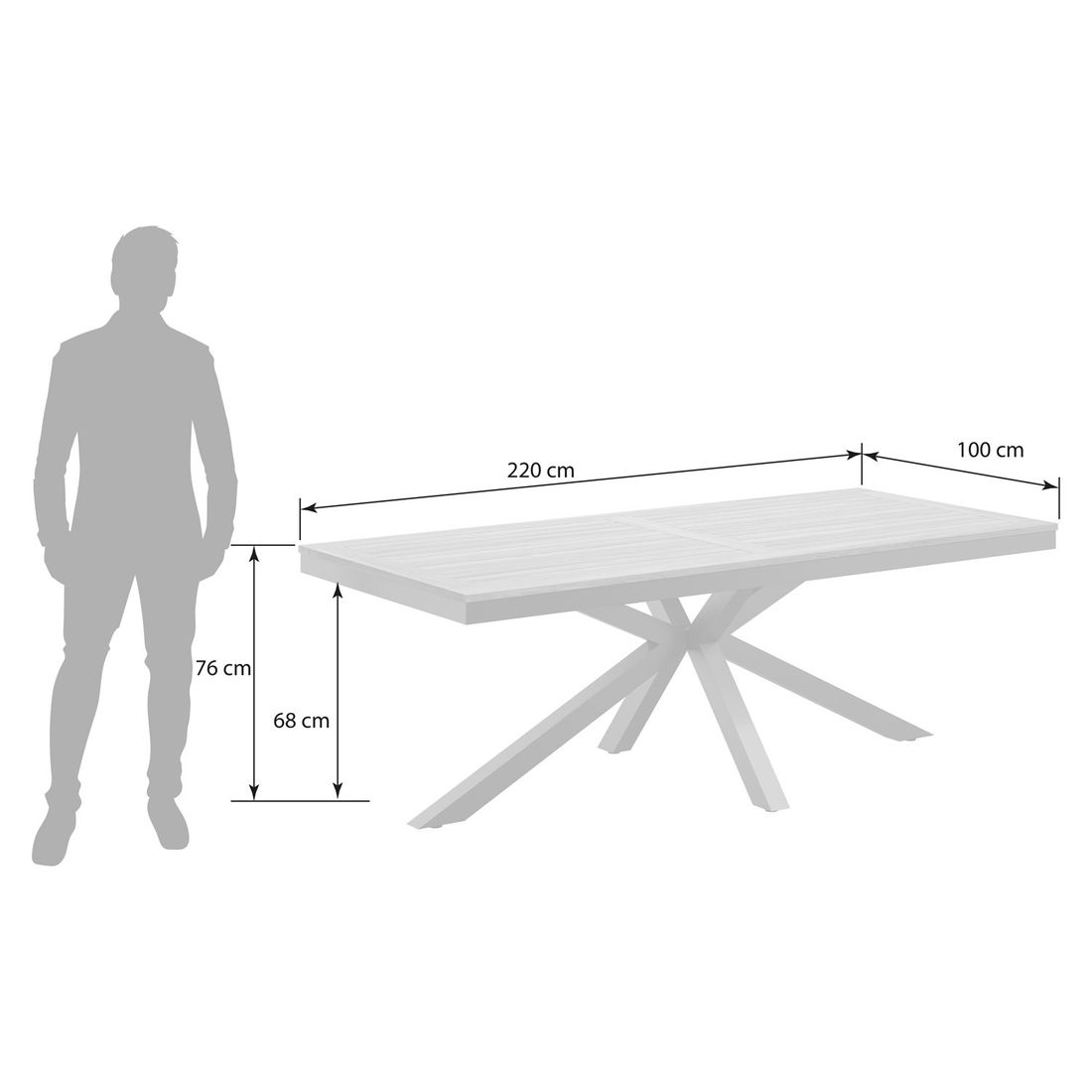 OUTLIV. Gartentisch 220x100cm Aluminium/Teak