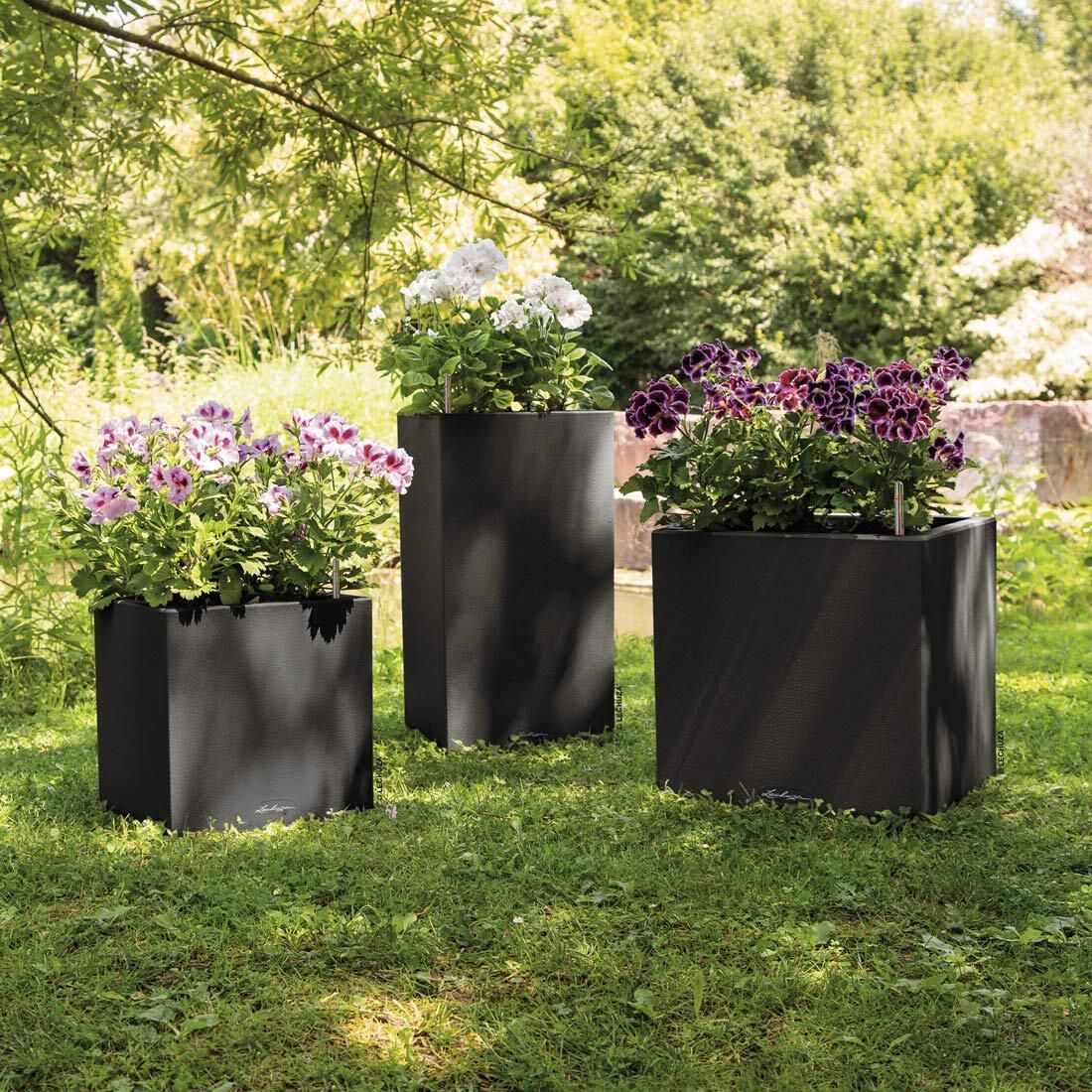 Lechuza Canto Pflanztopf 30x30x56cm Kunststoff