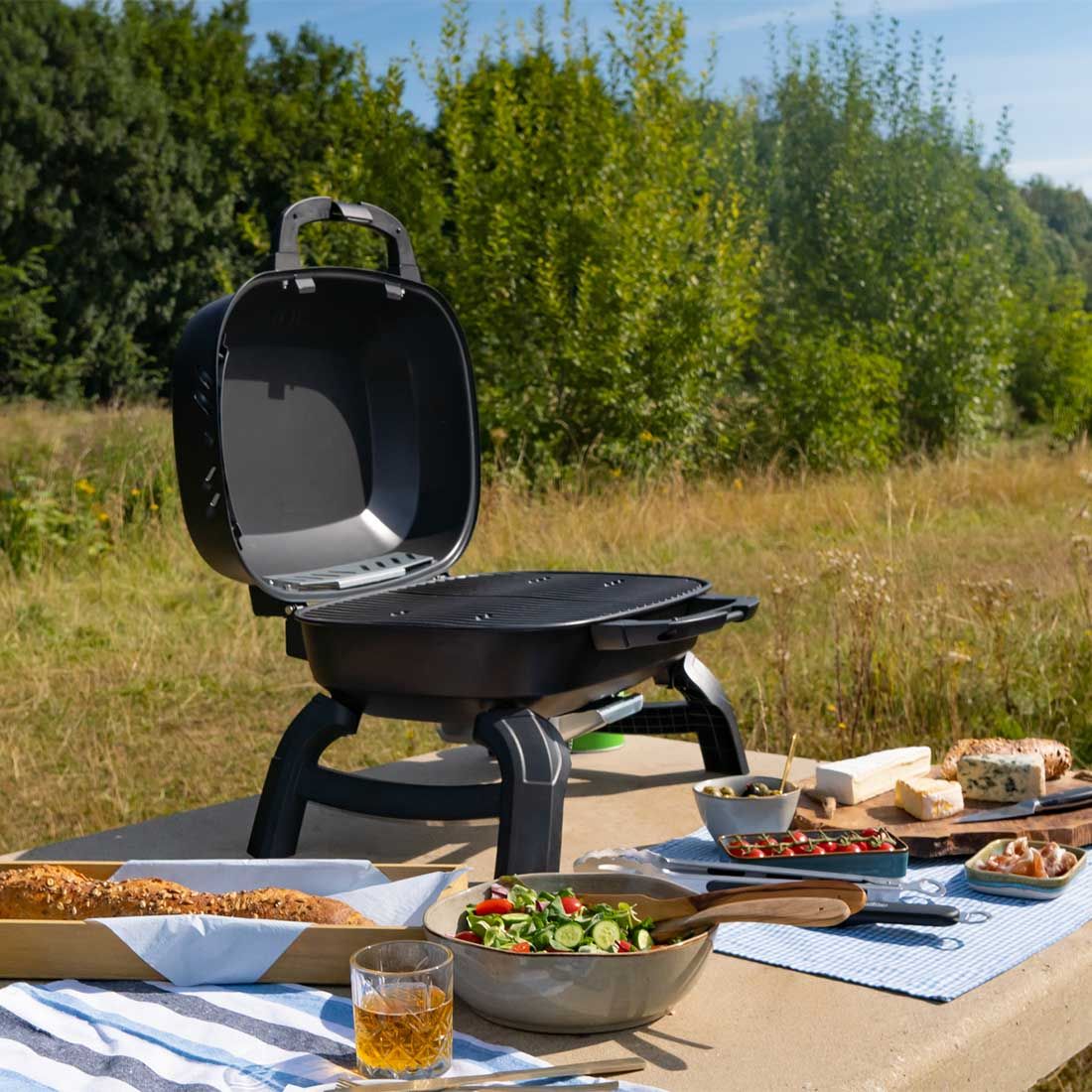 Napoleon TRAVELQ 240 Gasgrill GartenundFreizeit.at