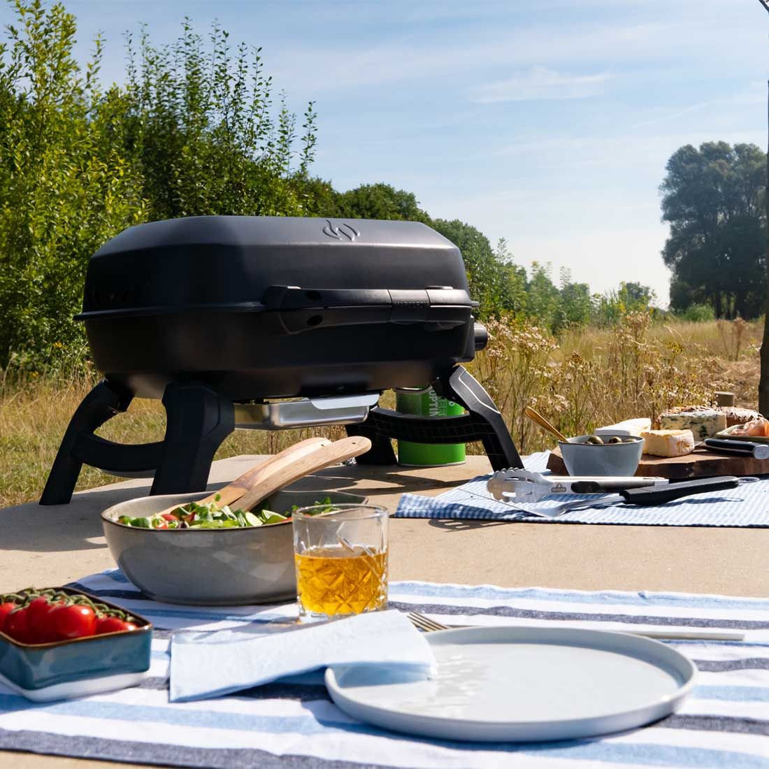 Napoleon TRAVELQ 240 Gasgrill GartenundFreizeit.at