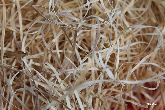 Insektenhotel Füllung Holzwolle Insektenhotel Füllung Holzwolle