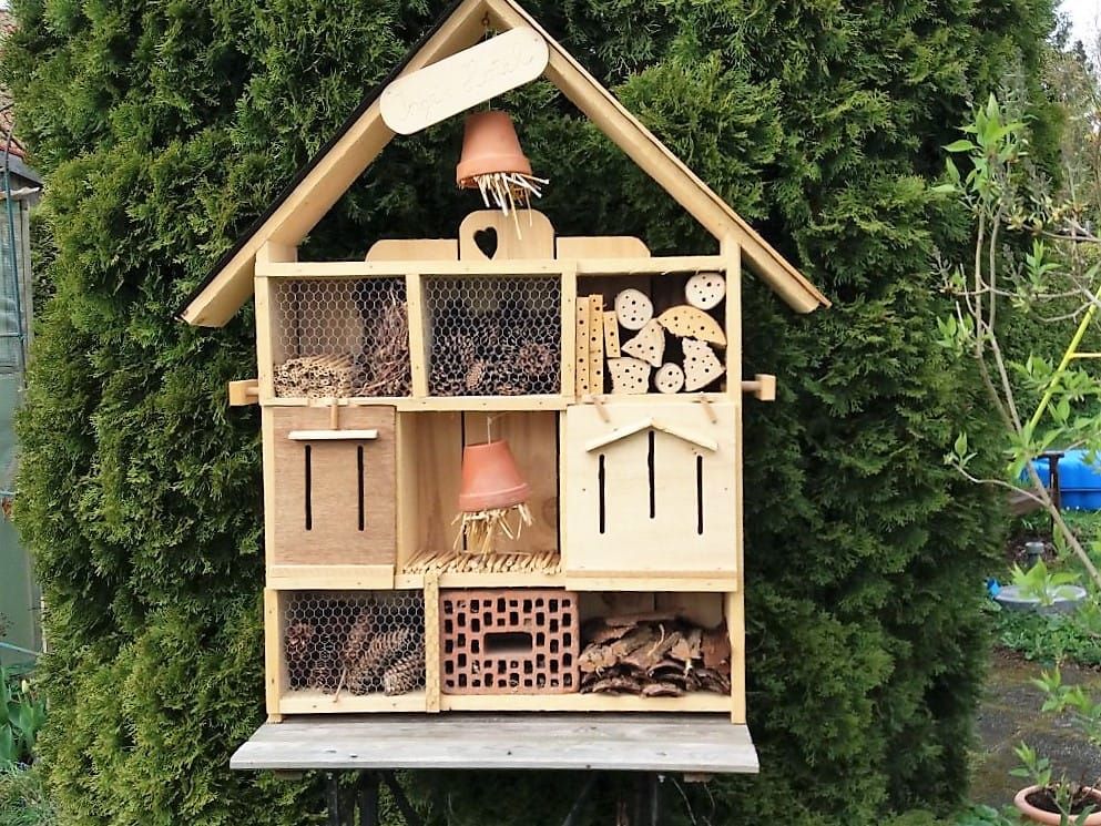 Insektenhotel Aufbau Insektenhotel Aufbau