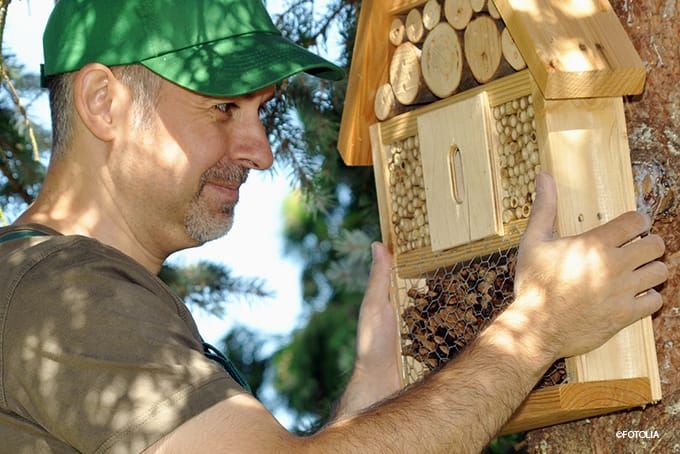 Insektenhotel Standort Höhe Insektenhotel Standort Höhe