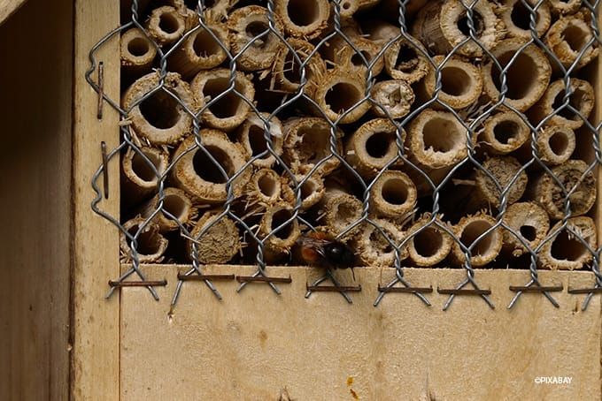 Insektenhotel Standort Schutz vor Feinden Insektenhotel Standort Schutz vor Feinden