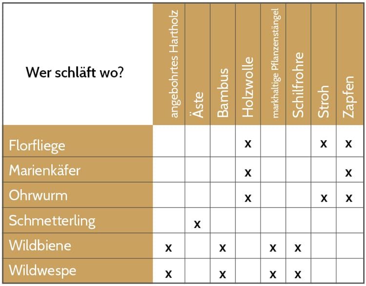 Wer schläft wo im Insektenhotel? Wer schläft wo im Insektenhotel?
