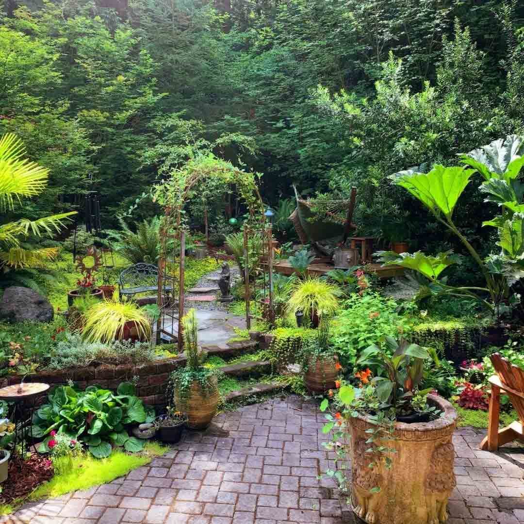 Garten mit exotischen Pflanzen Garten mit exotischen Pflanzen