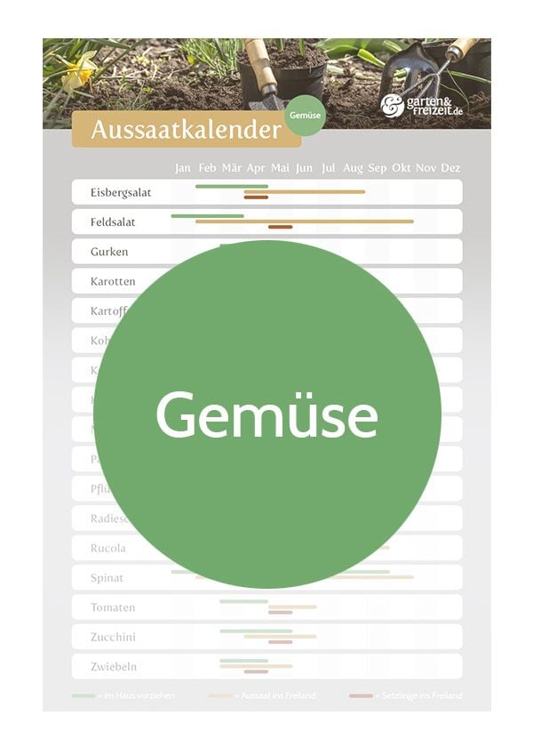 Aussaatkalender GartenundFreizeit.at