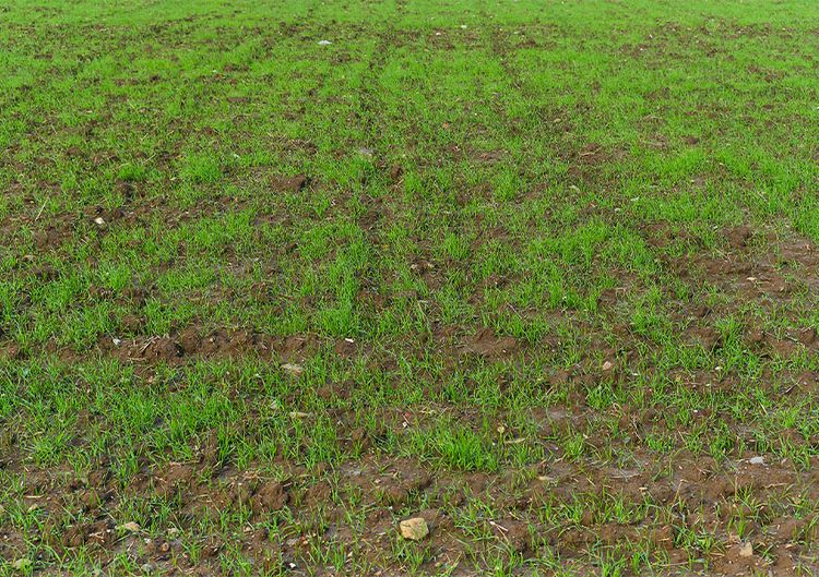 Garten neu anlegen