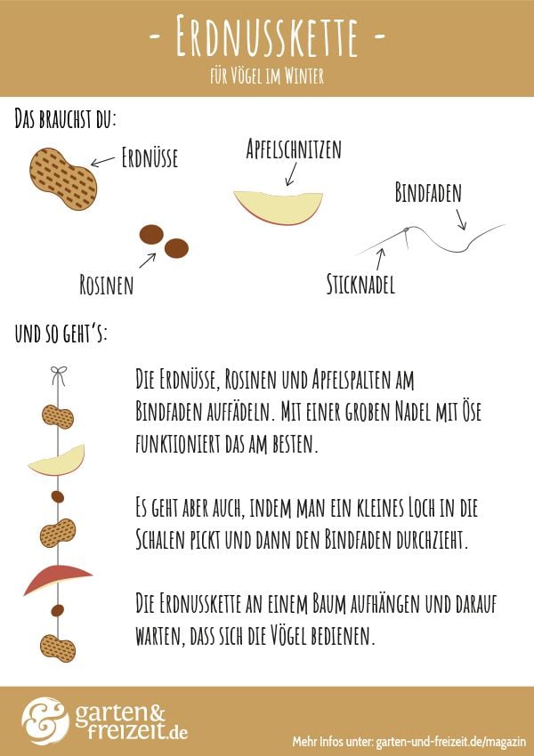 Grafik Erdnusskette selber machen