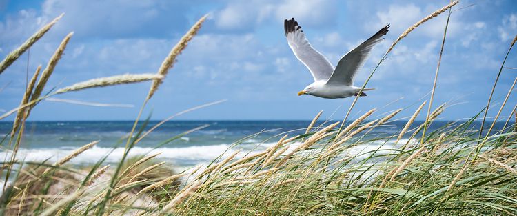 Korrosionen am Metall am Meer