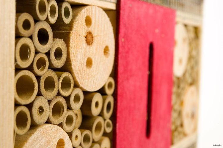 Die Füllung eines Insektenhotels