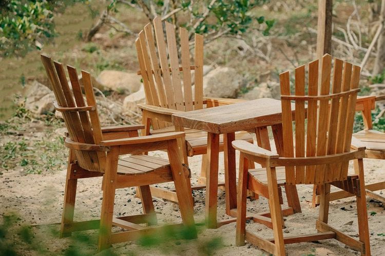 Teak