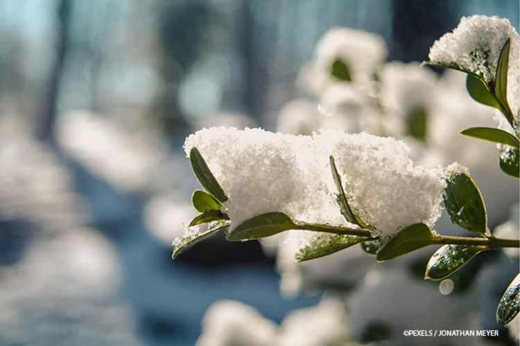 Garten neu anlegen