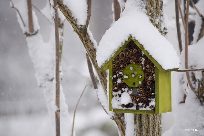 Insektenhotel Standort Winter