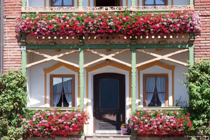 Pflanzen für den Balkon