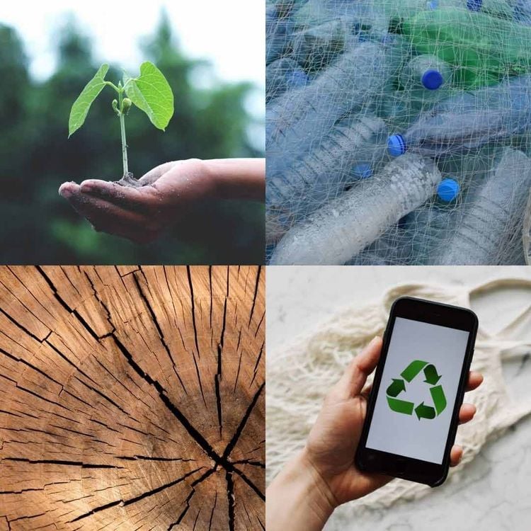 Collage zum Thema Nachhaltigkeit