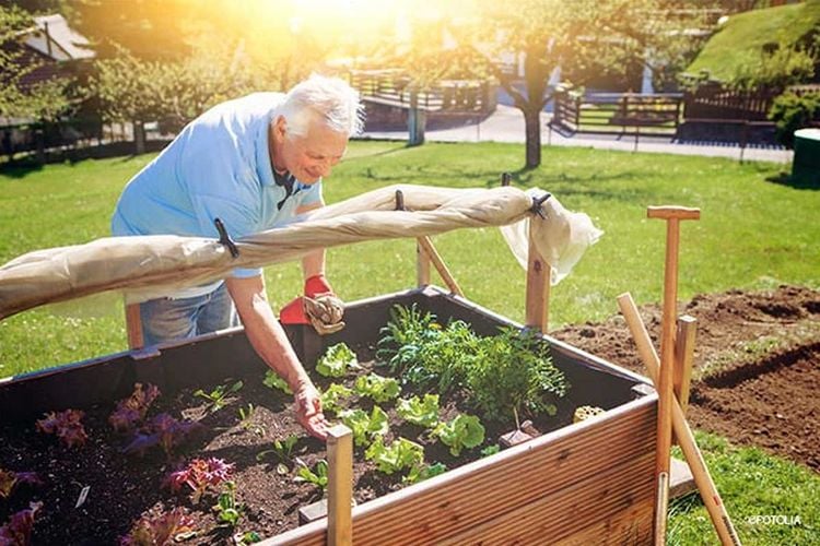 Senior beim Gärtnern im Hochbeet