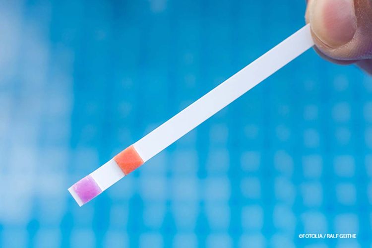 Teststreifen zur Ermittlung von pH-Wert und Chlorgehalt