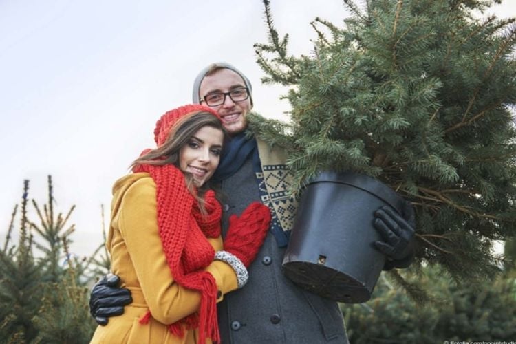 Paar mit Weihnachtsbaum