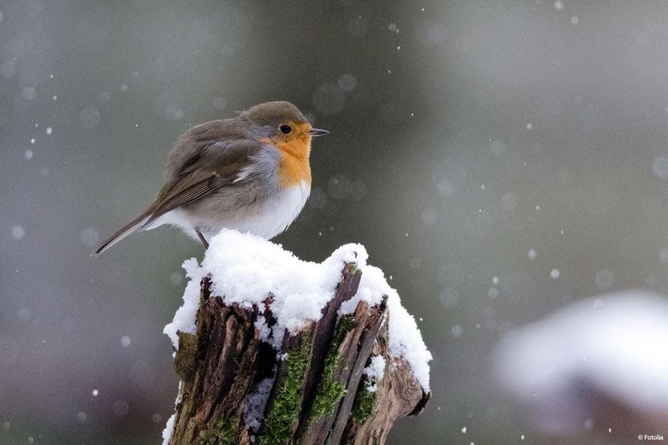 Die Kids sicher durch den Winter bringen