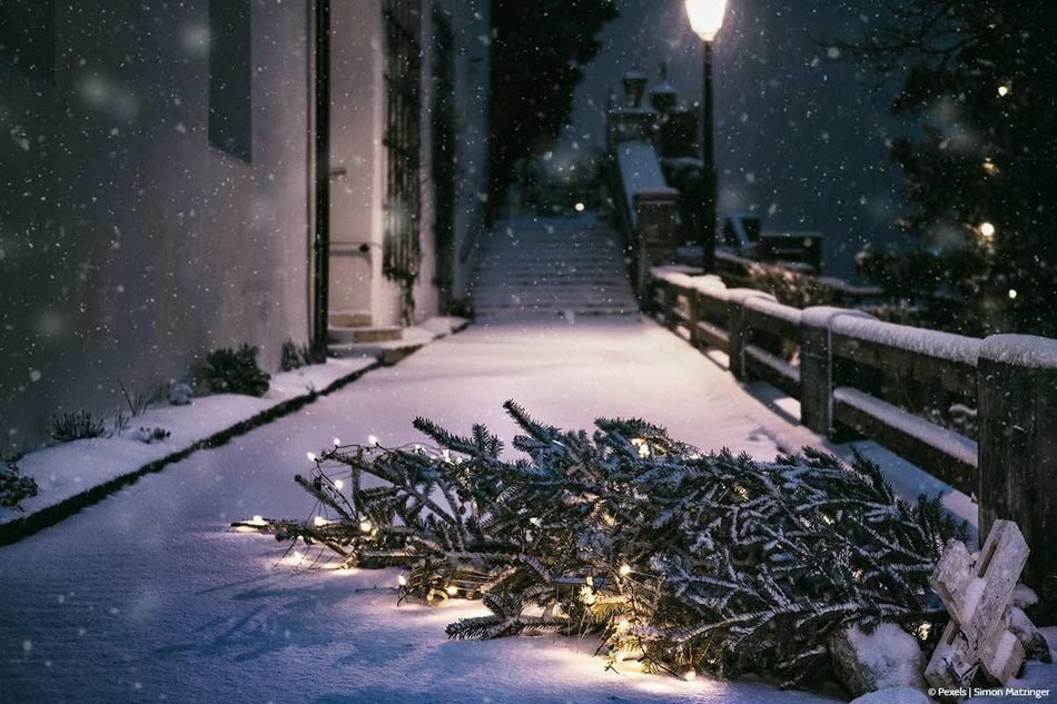 So sollten Sie Ihren Weihnachtsbaum entsorgen