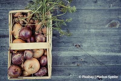 Mit diesen 5 Tipps wird die Ernte erfolgreich