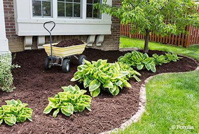 Pflegeleichter Garten für Senioren