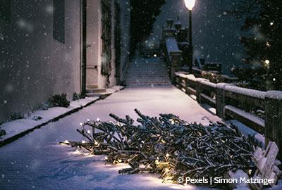 So sollten Sie Ihren Weihnachtsbaum entsorgen