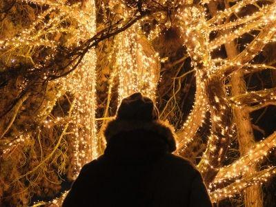 Außenbeleuchtung für Weihnachten