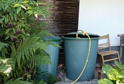 Regenwasser sammeln - Tipps für Ihren Garten