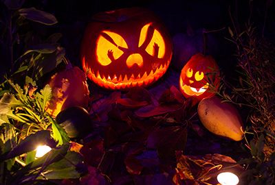 Halloween im Garten feiern