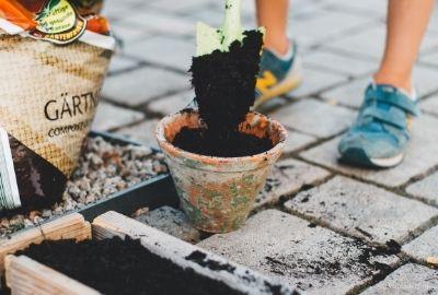 Urban Gardening