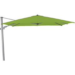 Ampelschirme Grün