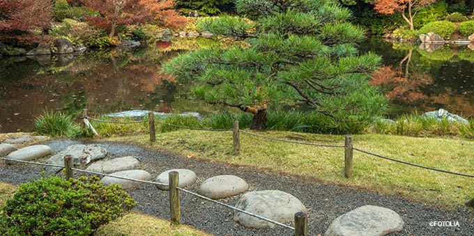 Japanischer Garten Trittsteine